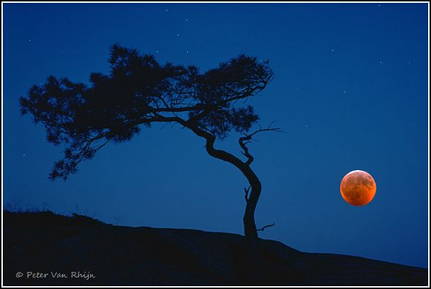 Blood Moon in Georgian Bay