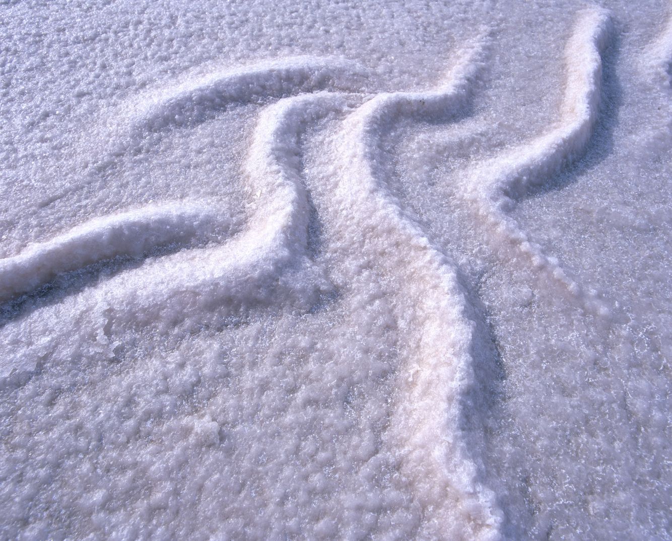 Peninsula Valdes Salt Flats