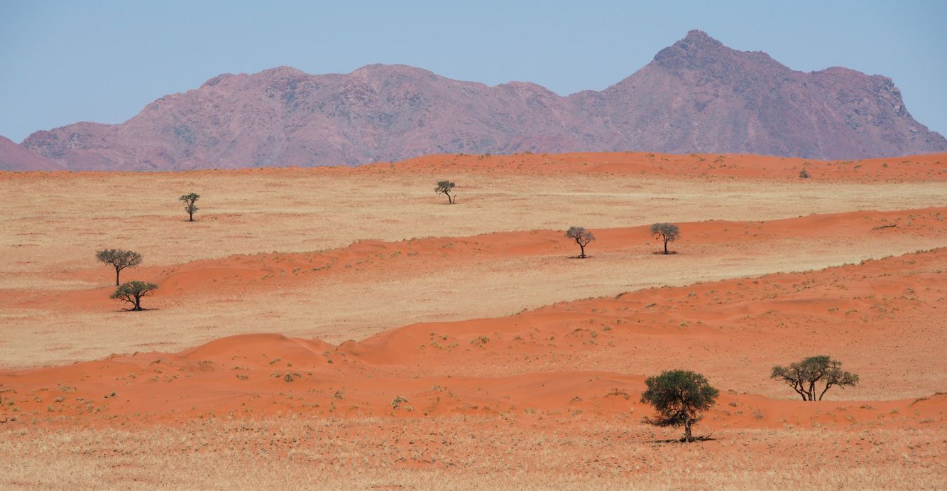 Namib Rand 2
