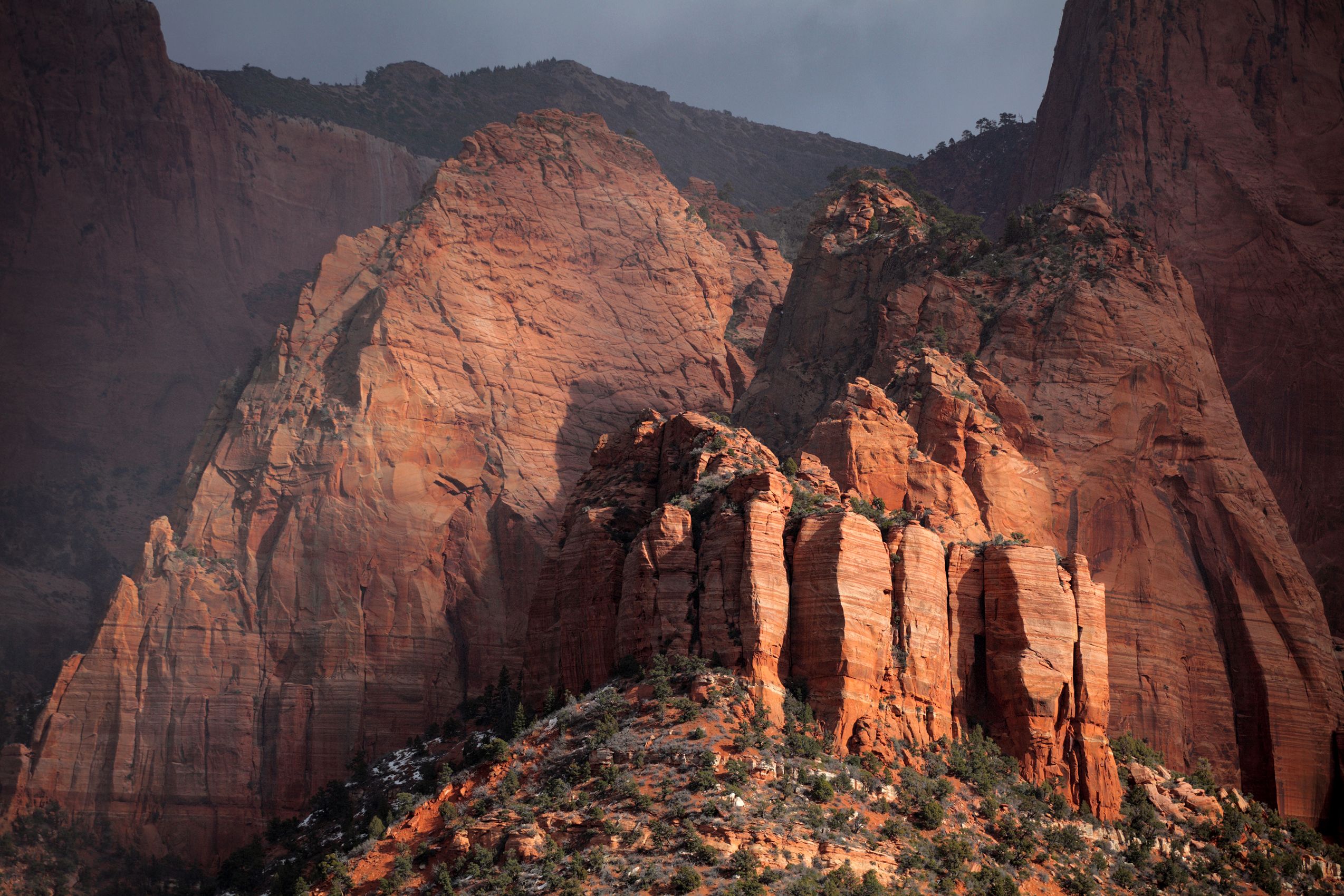 Page 103 Zion Sunbeam.jpg