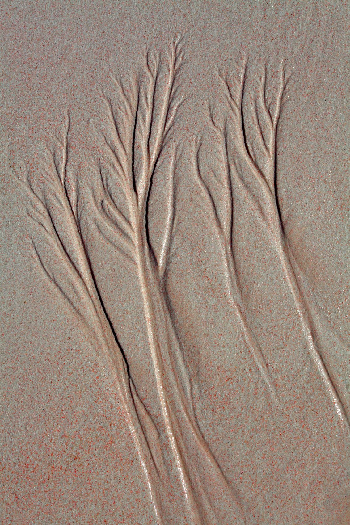 Tidal Flow Pattern 1