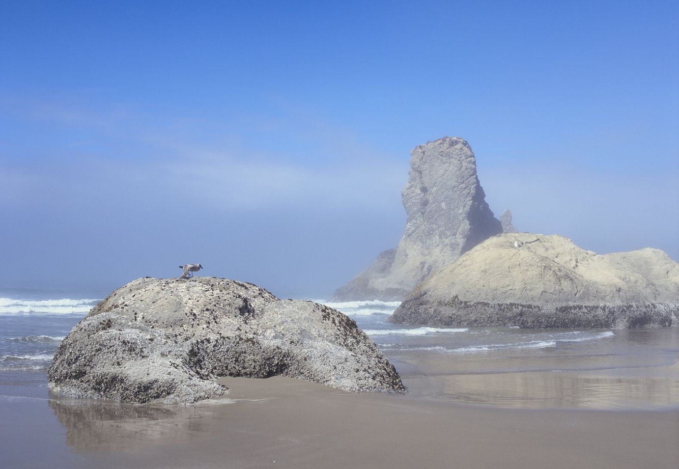 Bandon Beach Sea Stacks 1