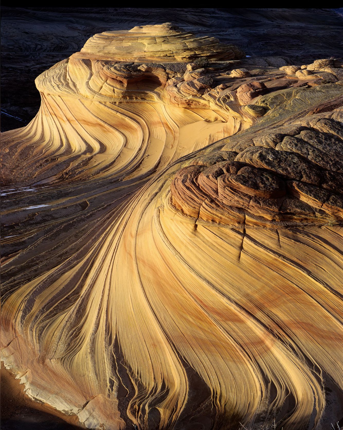 The Wave in Coyote Buttes