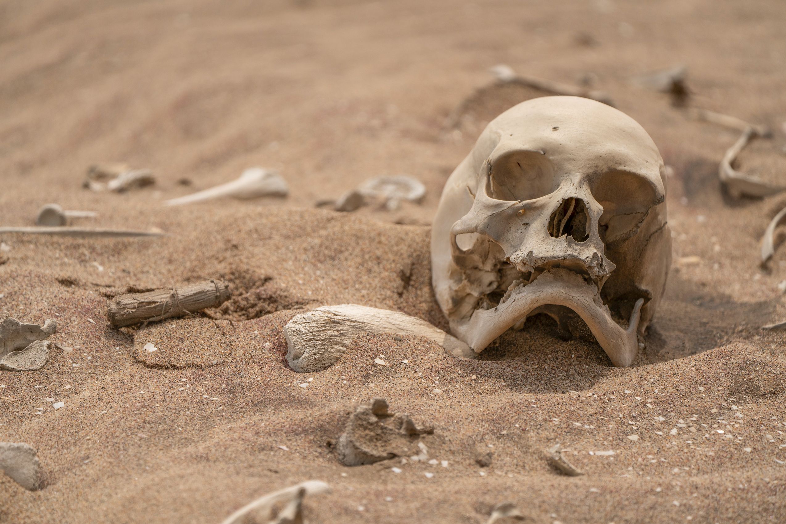 Page 125 Death on The Beach.jpg