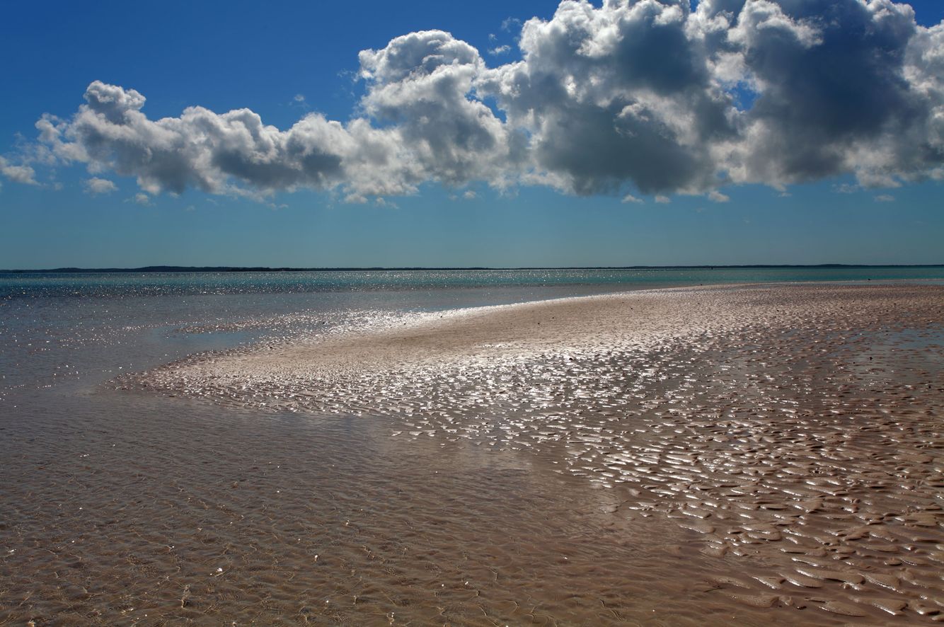 Tidal Flats at Harbour Island