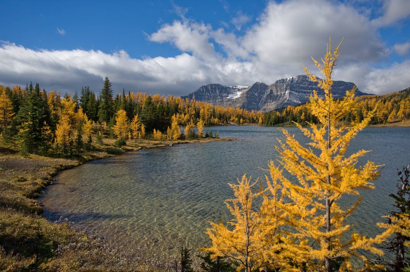 Grizzly Lake Autumn