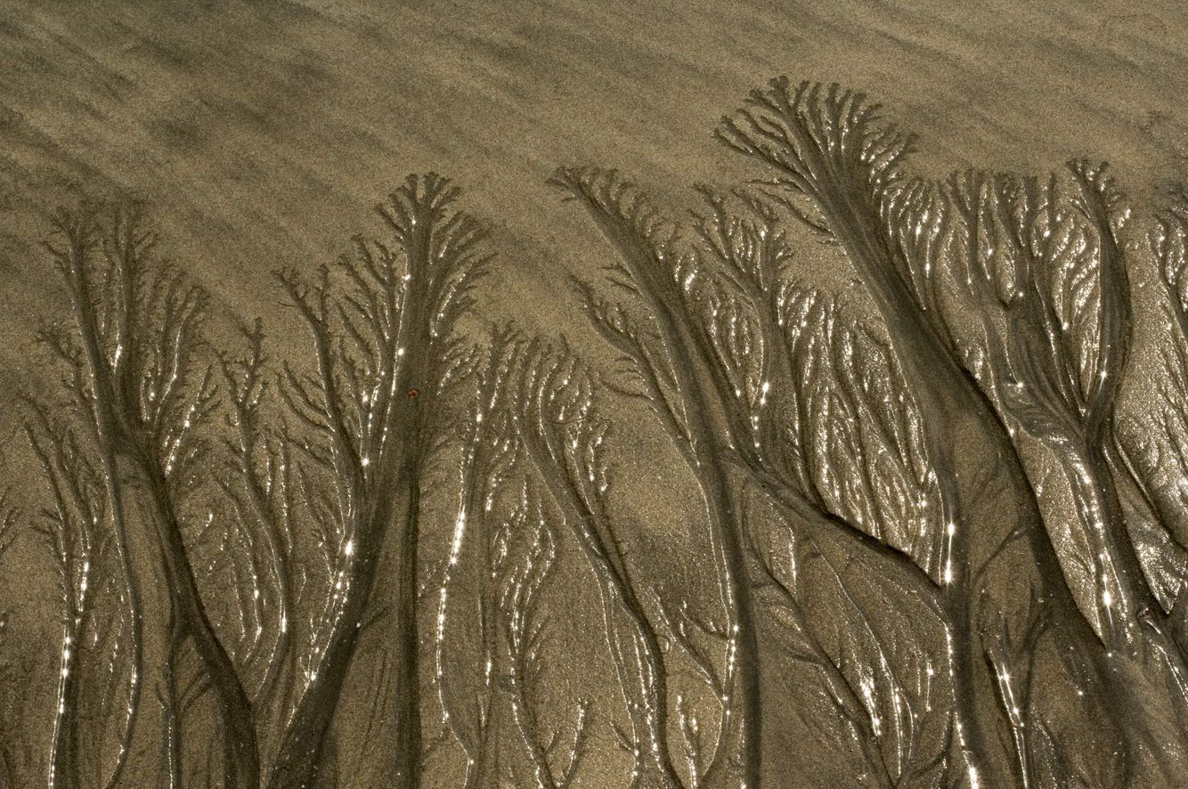 Tidal Flow Pattern 4