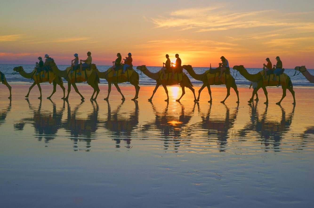 Camel Train at Sunset