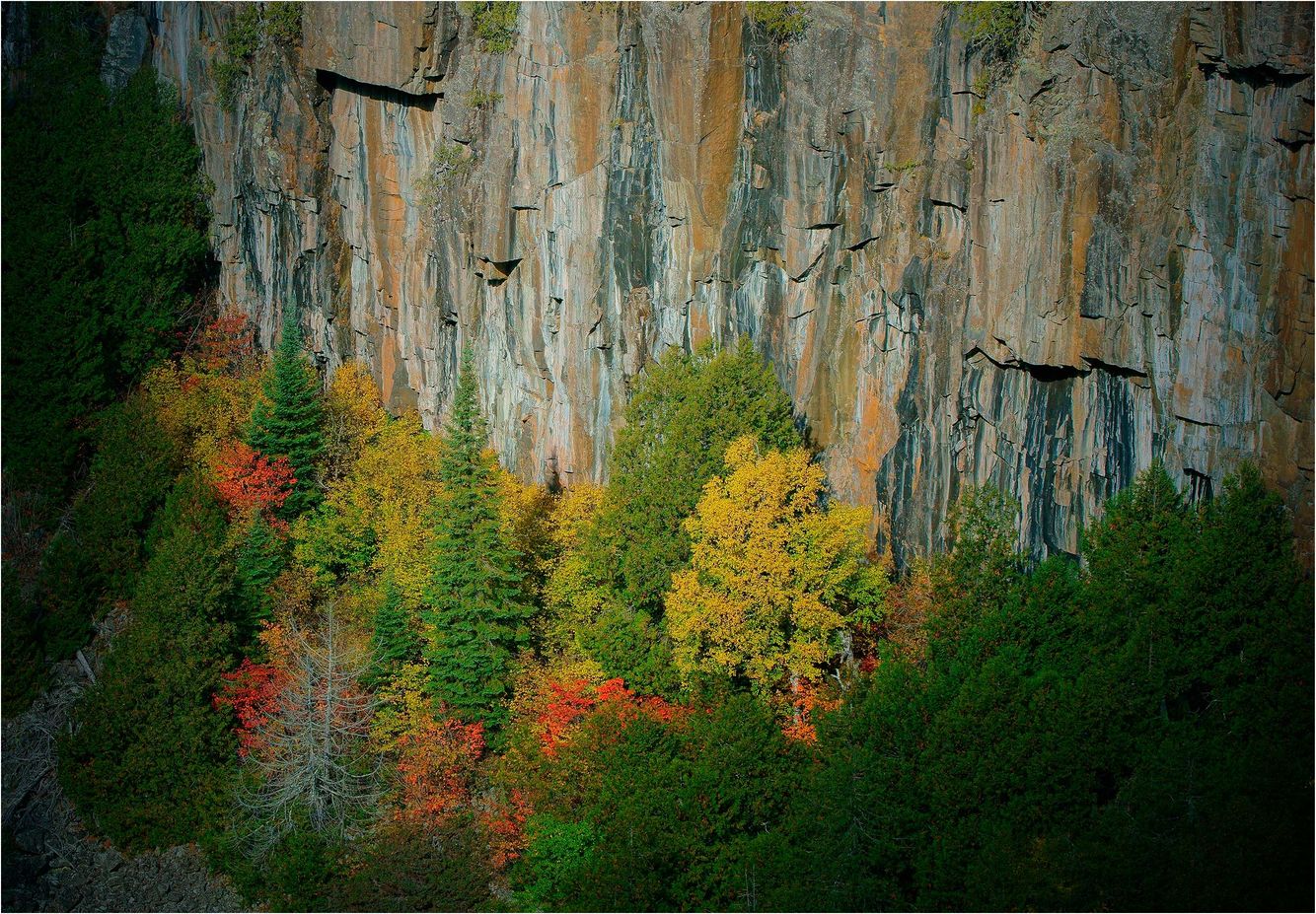 Autumn in Ouimet Canyon