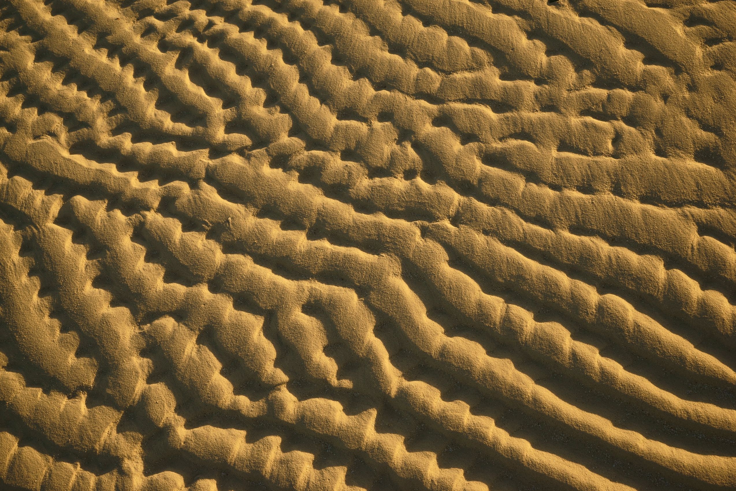 Page 63 Beach Pattern.jpg