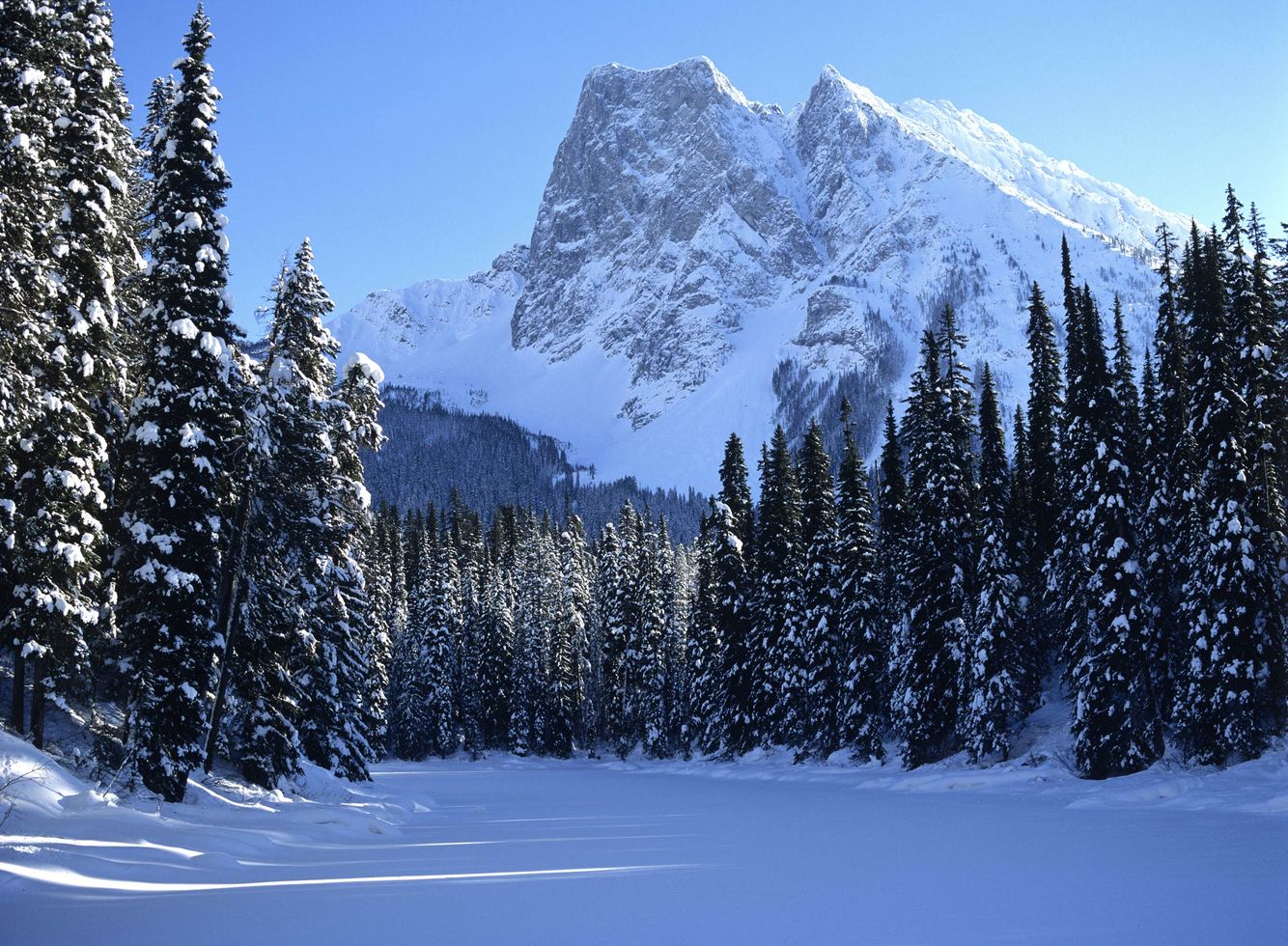 Mount Burgess Behind Emerald Lake