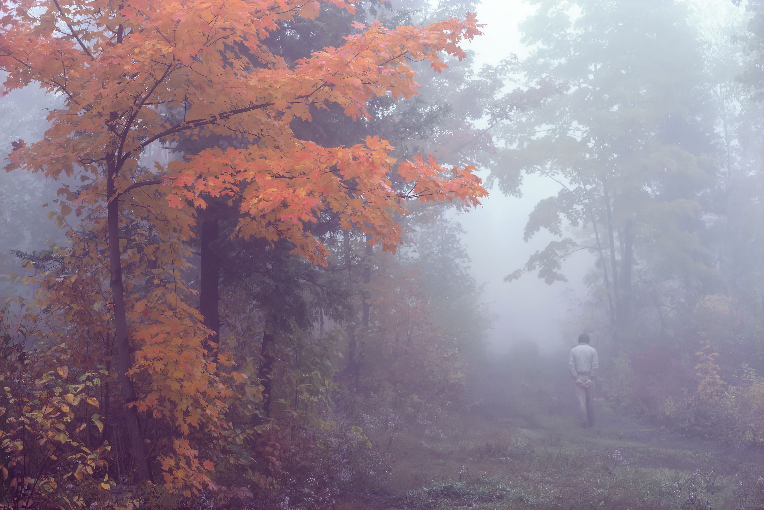 Page 121 Walking the Bruce Trail in Autumn.jpg