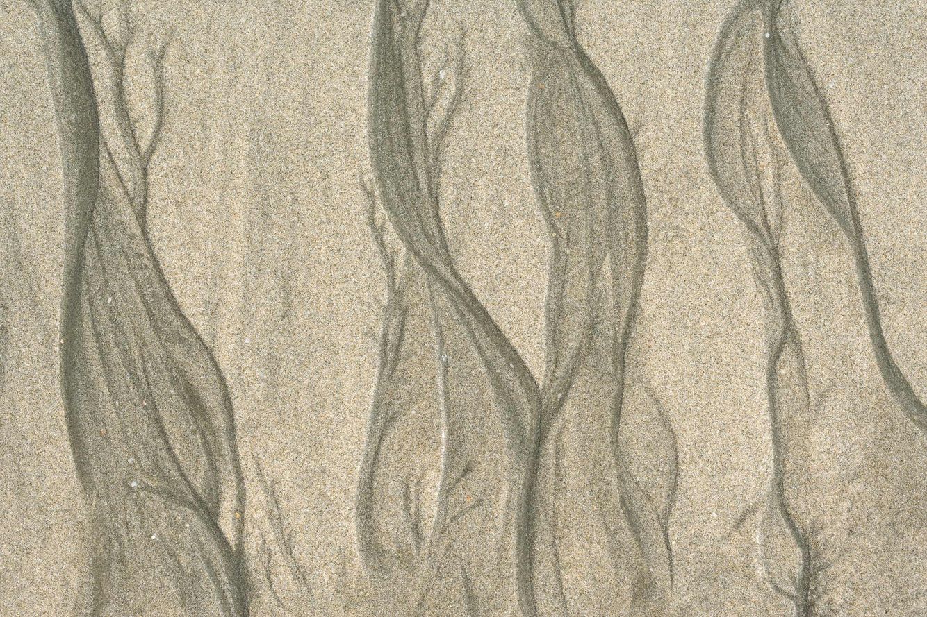 Black and White Sand Flow Pattern