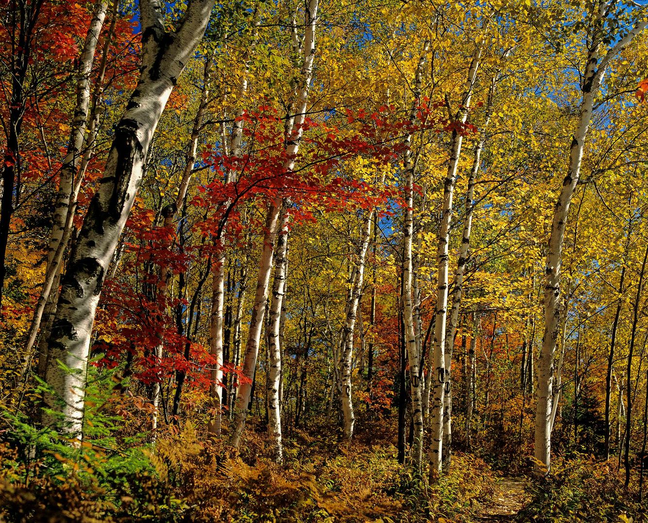 Arrowhead Provincial Park