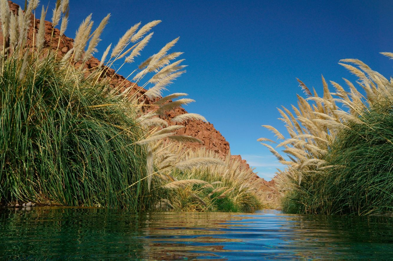 Puritama Hot Springs