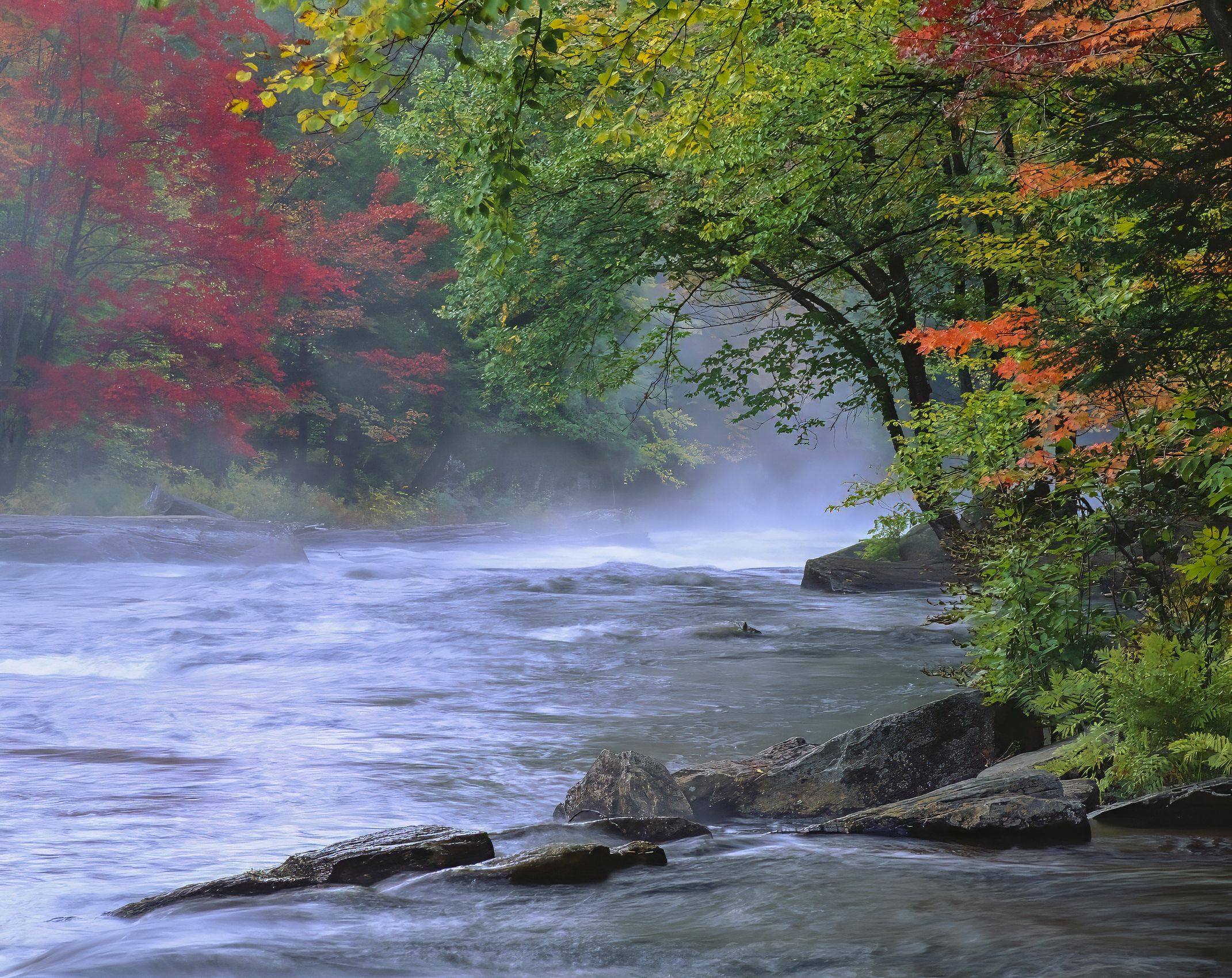 Page 43 Oxtongue River Rapids.jpg
