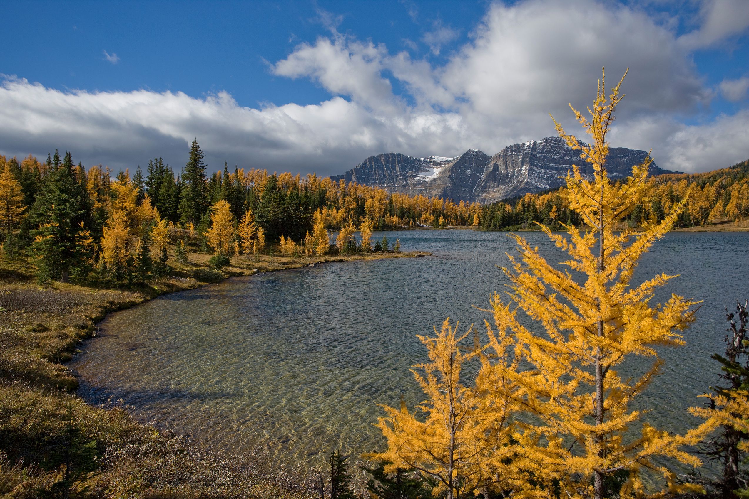 Page 71 Larch Lake Autumn.jpg