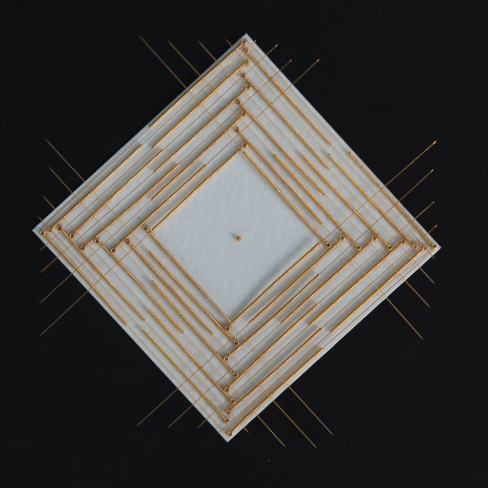 SEEDED golden point 41