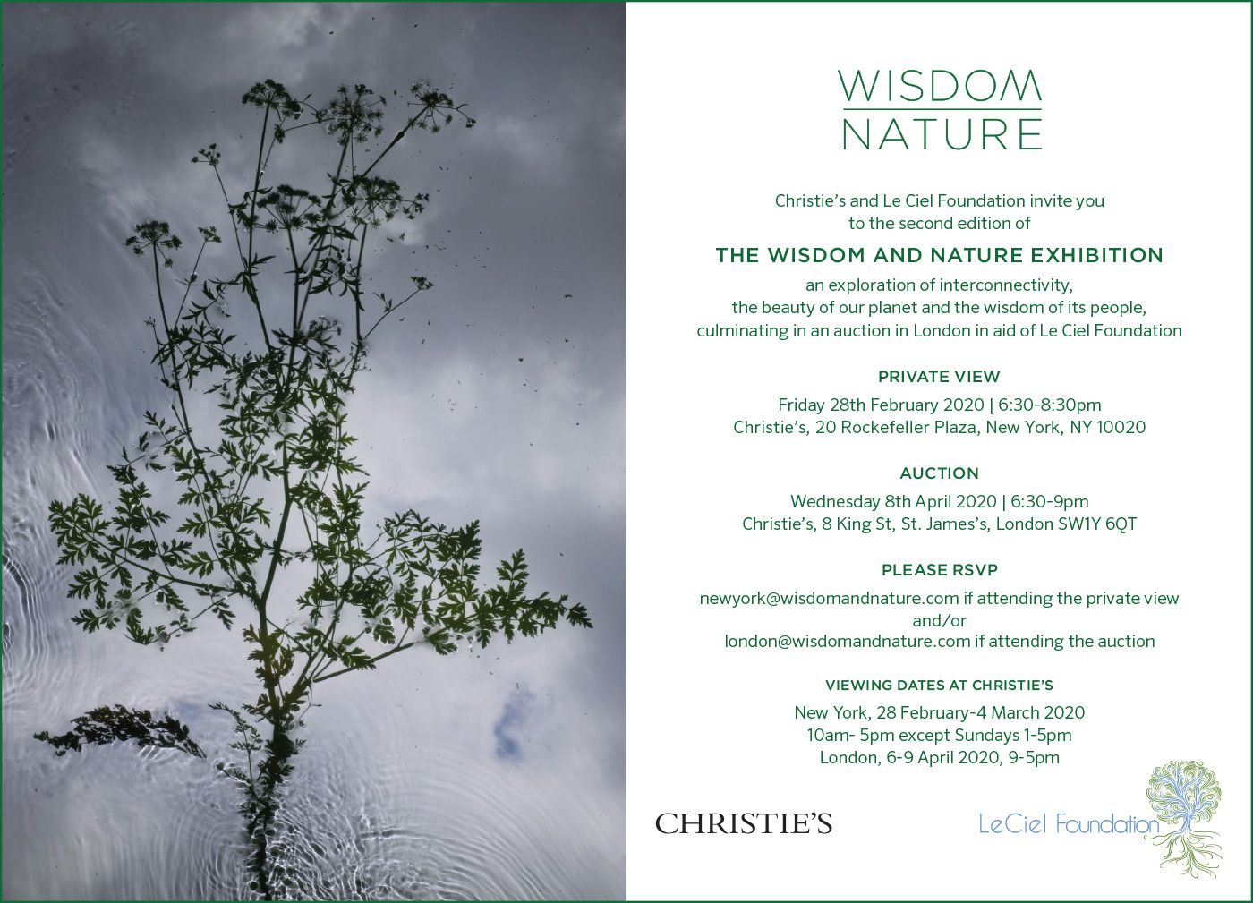 Wisdom-Nature-Invitation-1.jpg