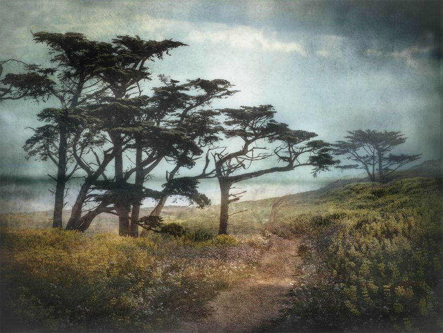 A Longing for Respite.jpg