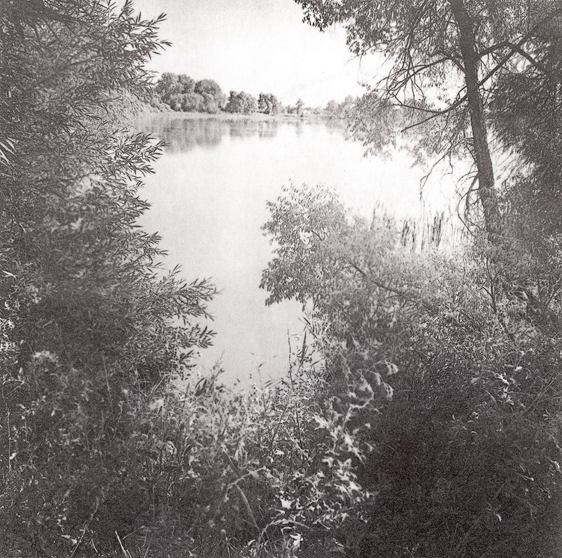 Waneka Lake I.jpg