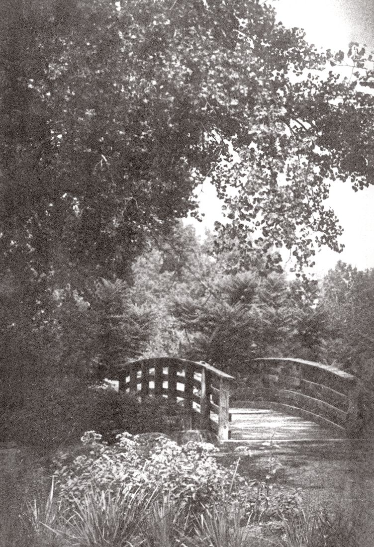 Bridge.jpg
