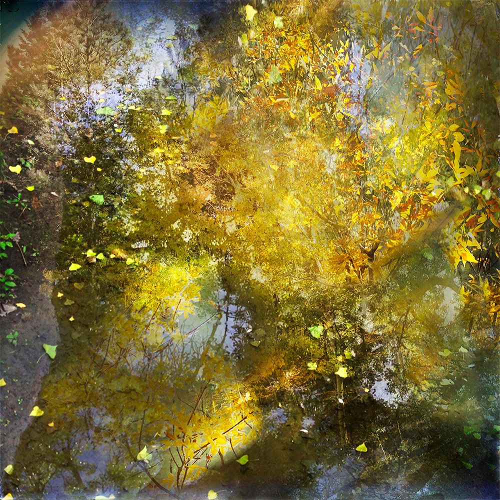 Aspects of Autumn 8