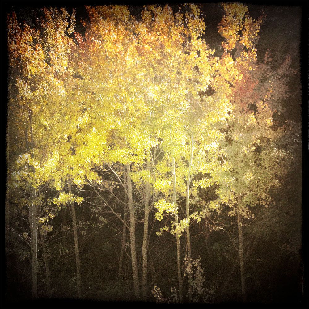 1aspen_glow.jpg