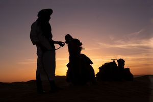 Berber and camel.jpg