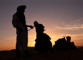 Berber and his Camel.jpg