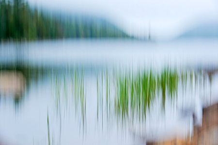 Fog on Jordan Pond