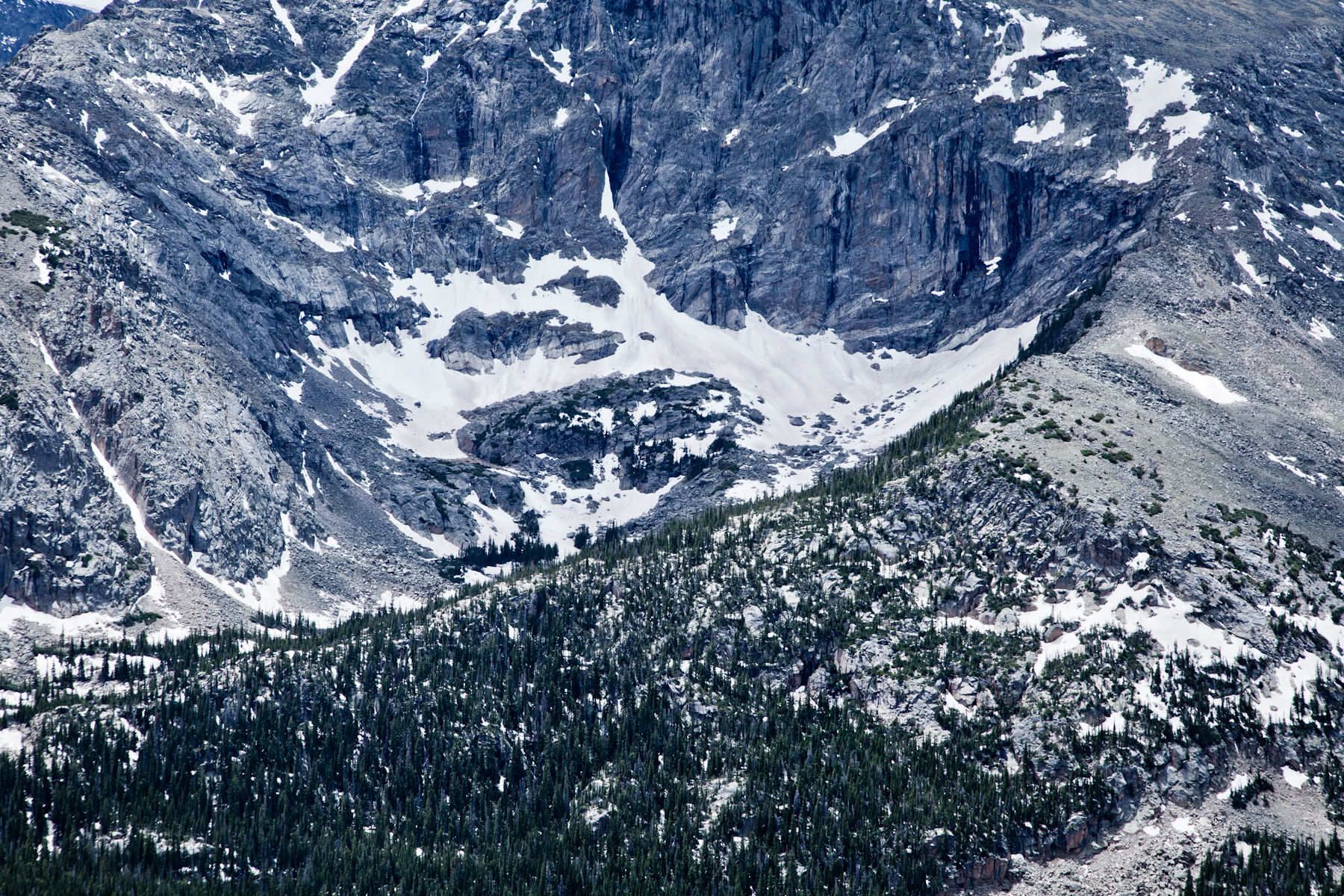 1_mg_7061