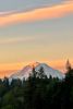 IMG_8377.jpeg