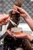 Bumble_bumble_HoodByAirDSC_9552.jpg