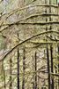 IMG_6372.jpeg