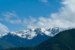 IMG_6937.jpeg
