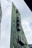 IMG_0785.jpg