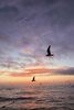 IMG_8906.jpeg
