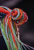 1dsc_6879