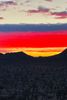 IMG_7731.jpeg