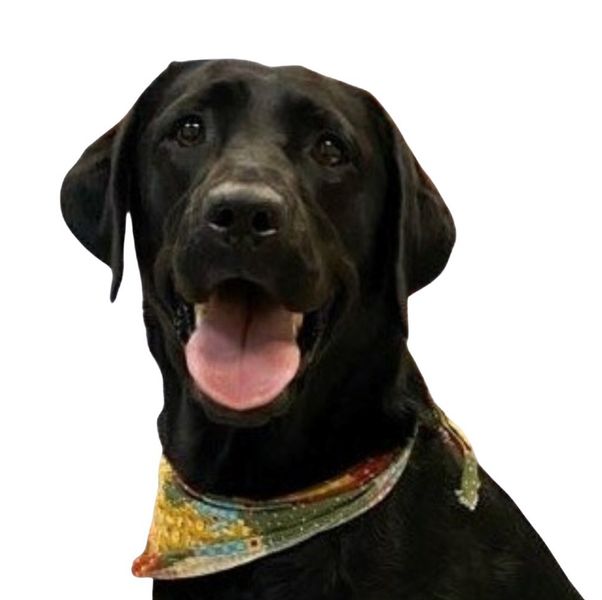 Maggie - no BG.jpg