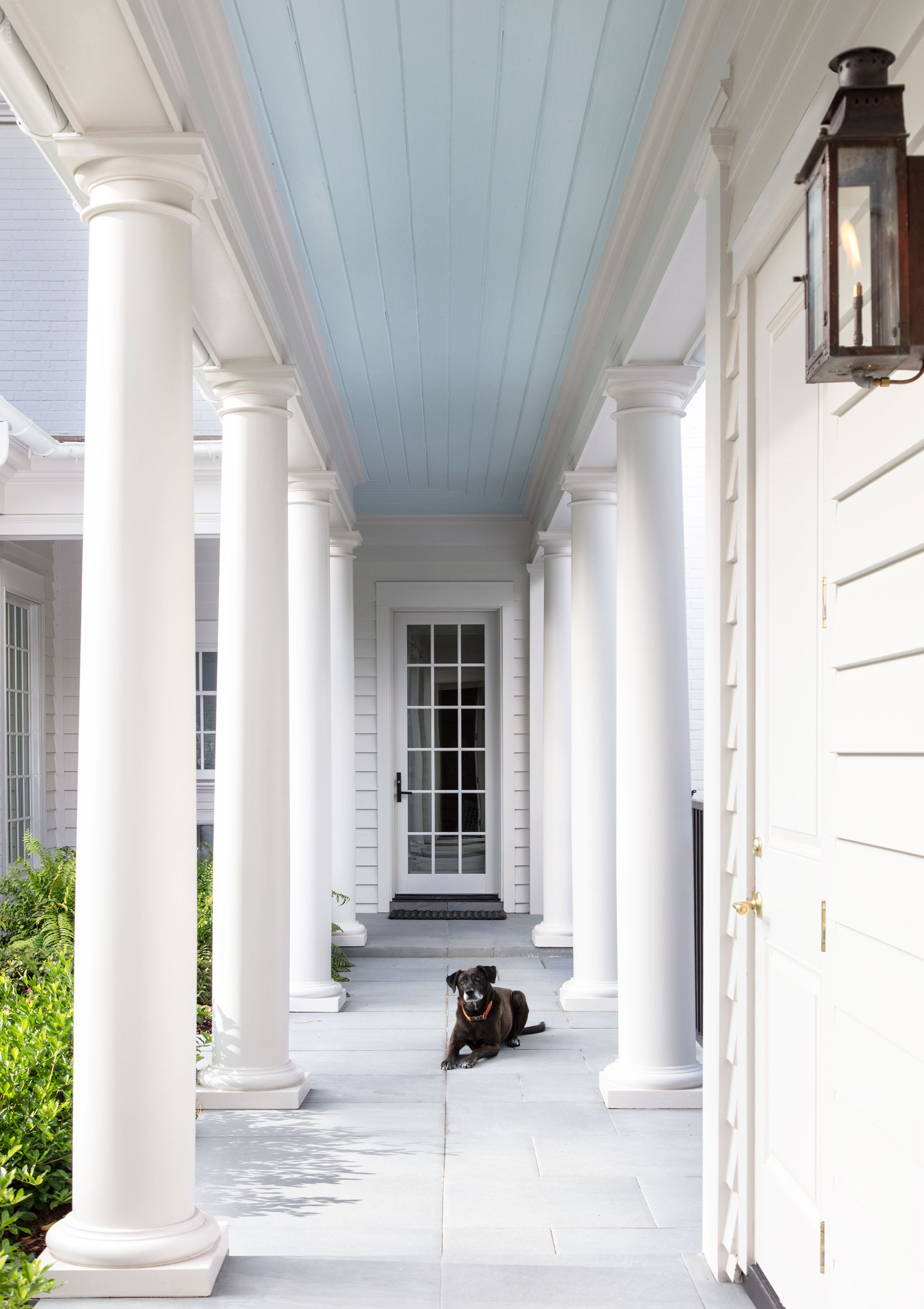 Breezeway-w-Pup-WEB.jpg