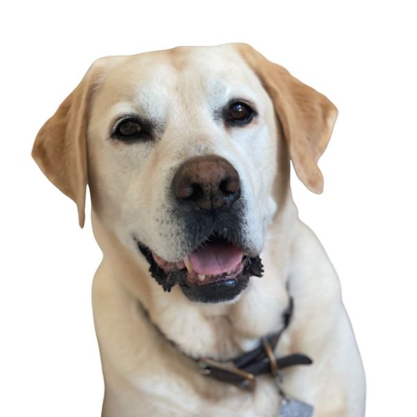 mAX - NO bg + CROPPED.jpg