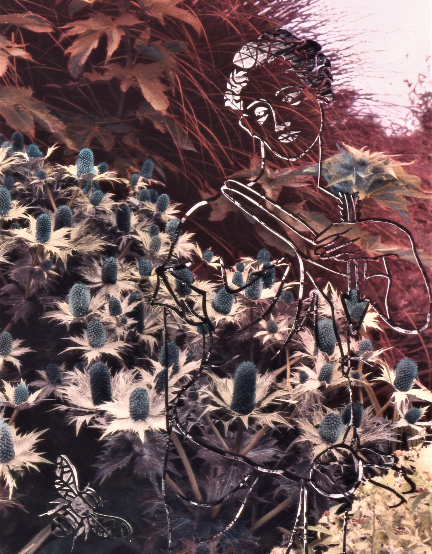 Andre Viette's Garden A#2