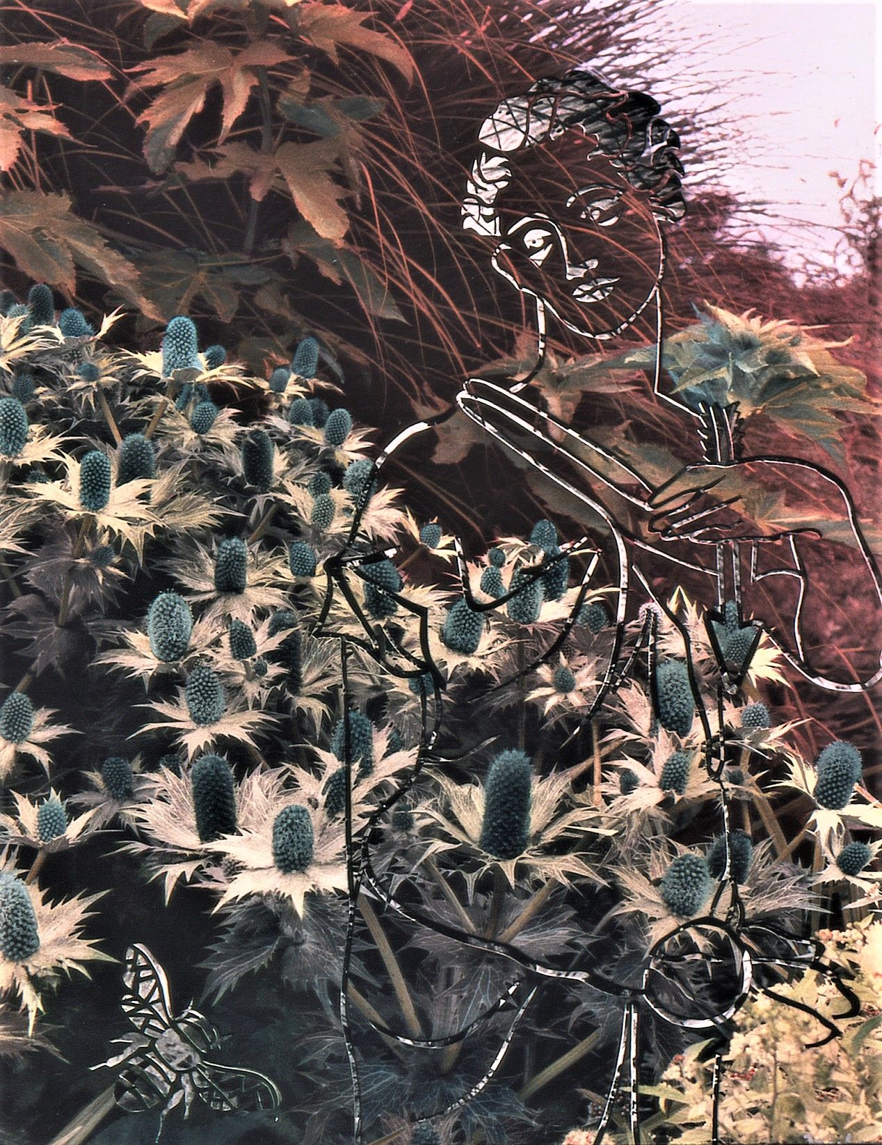 Painted B&W Photo 18"x 14.25" Collection of National Museum of Women in the Arts Andre Viette's Garden A#2