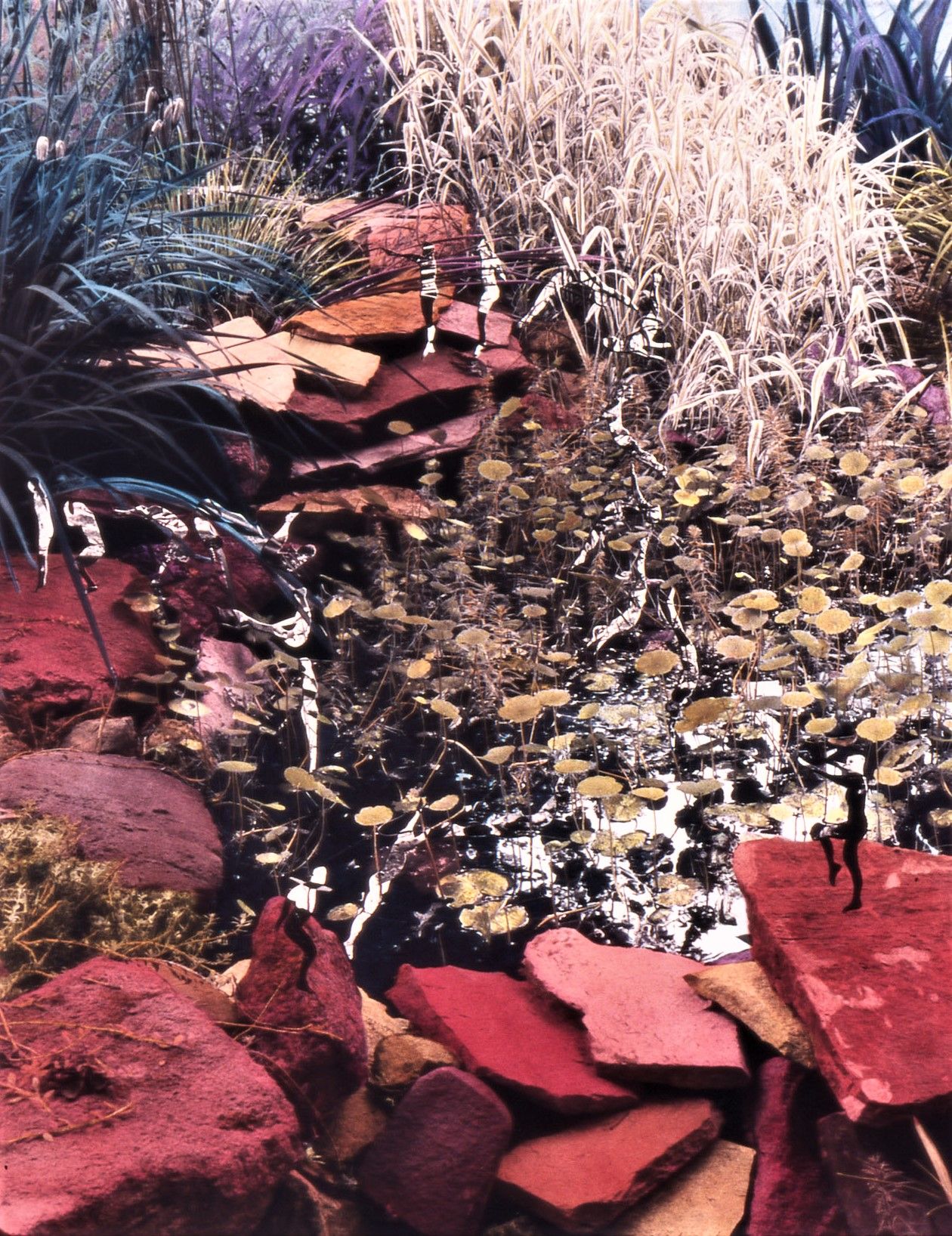 Bob Clary's Garden A#3