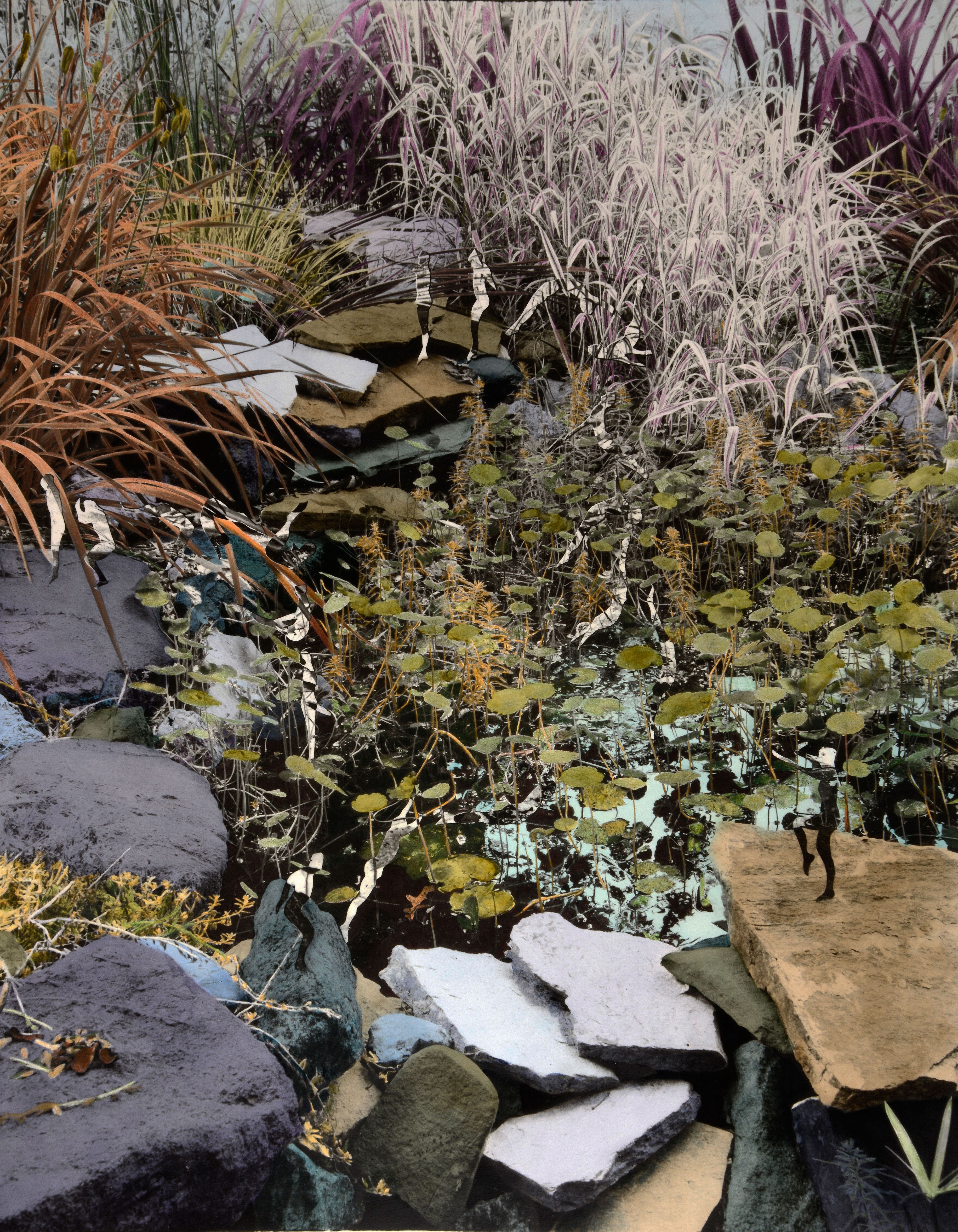 Painted B&W Photo 18"x 14.25" Bob Clary's Garden A#6