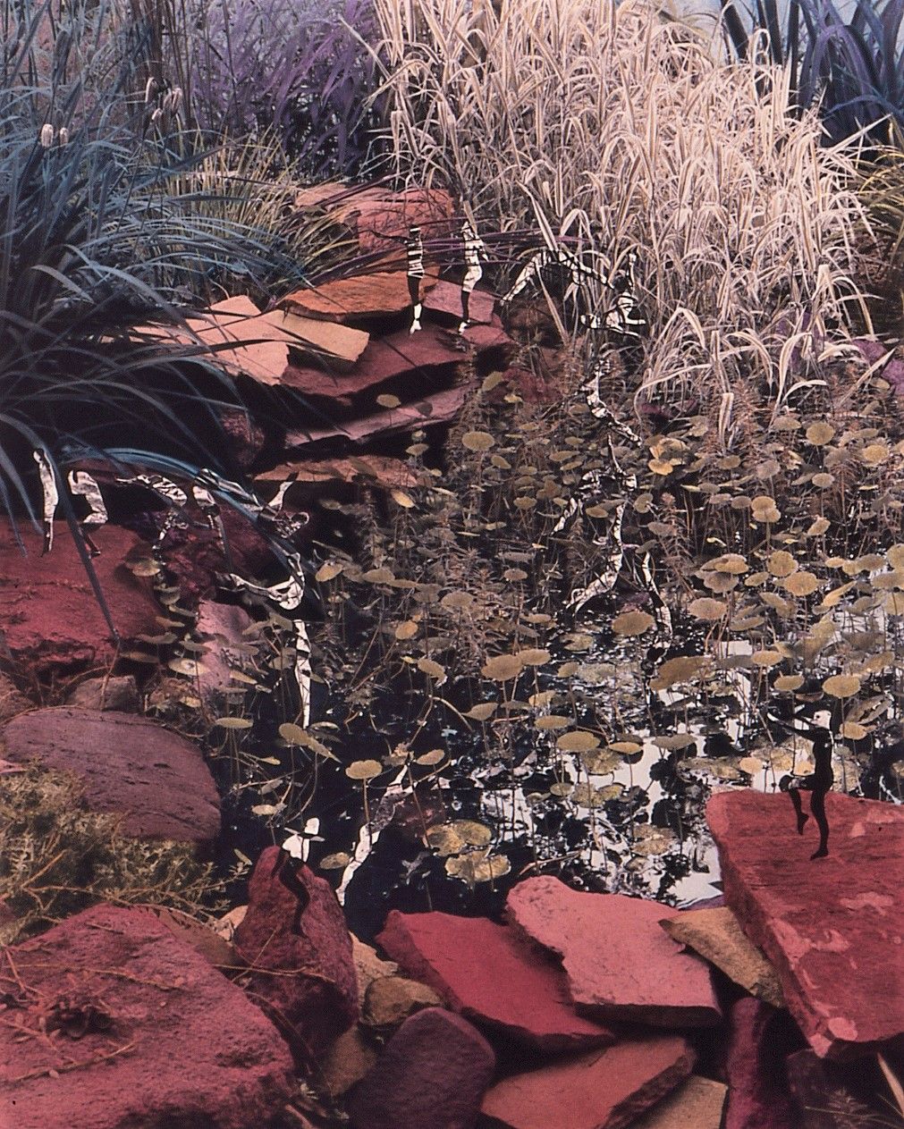 Painted B&W Photo 18"x 14.25" Collection of National Museum of Women in the Arts Bob Clary's Garden A#3