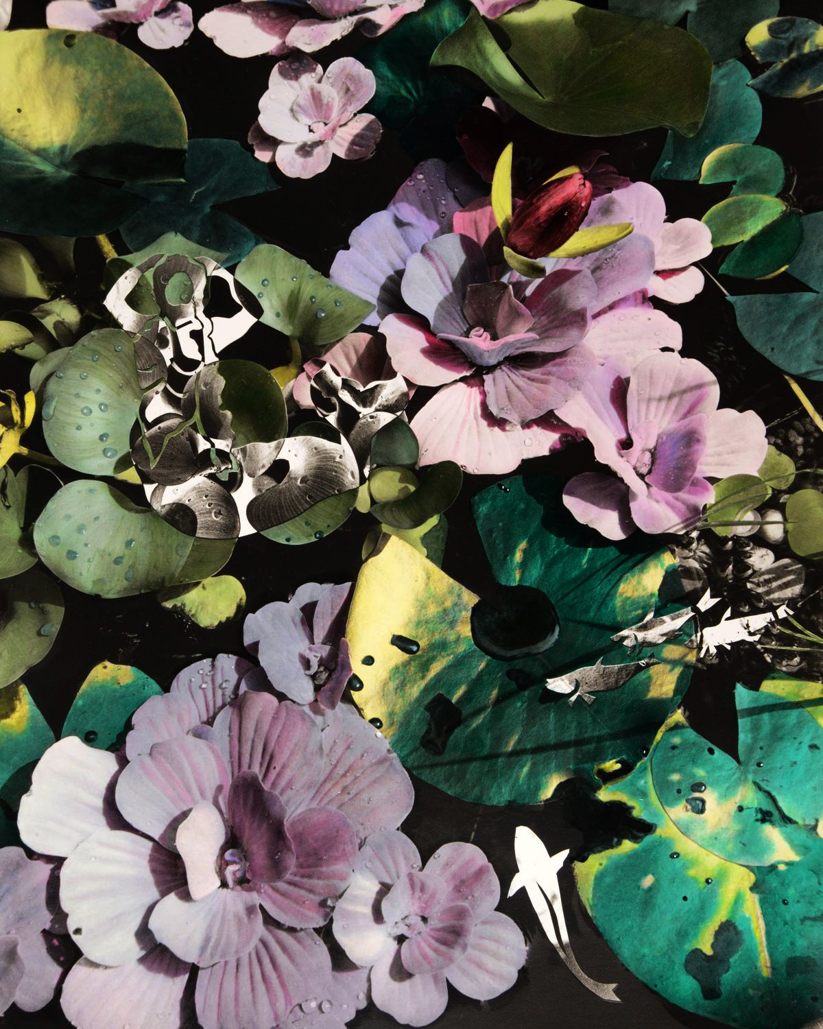 Painted B&W Photo 18"x 14.25" TubPond B#3