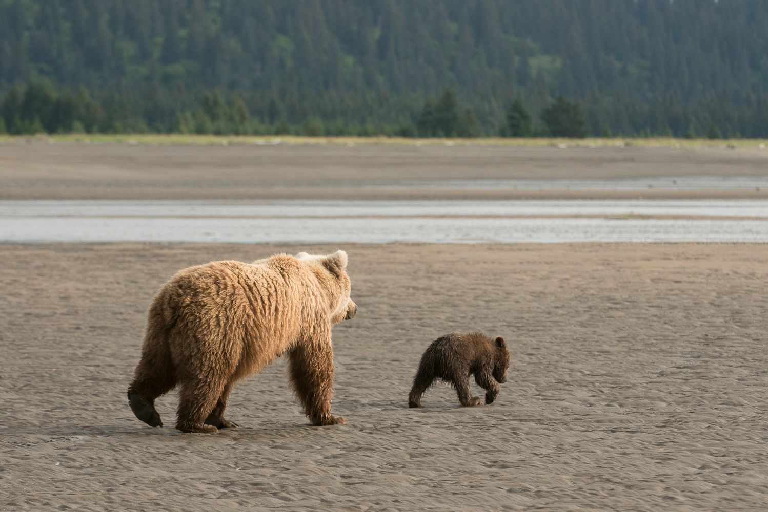 Hunting Clams with Mom
